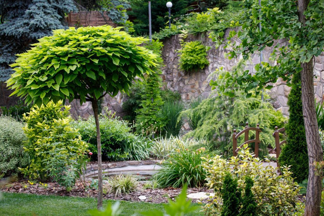 Bed & Breakfast Arnyas Panzio *